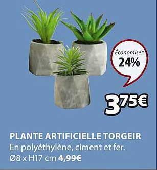 Plante Artificielle Torgeir