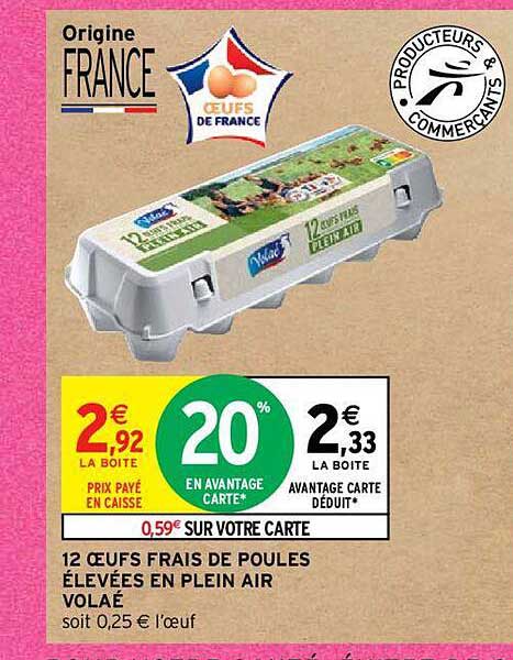 12 œufs frais de poules élevées en plein air volaé