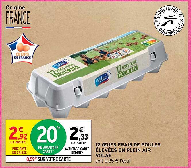 12 œufs frais de poules élevées en plein air volaé