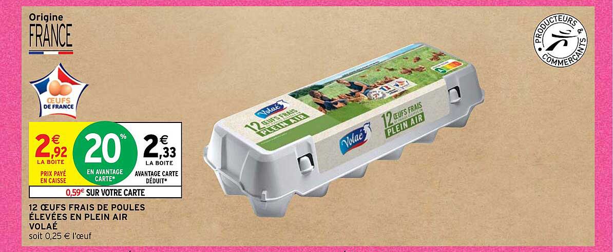 12 œufs frais de poules élevées en plein air volaé