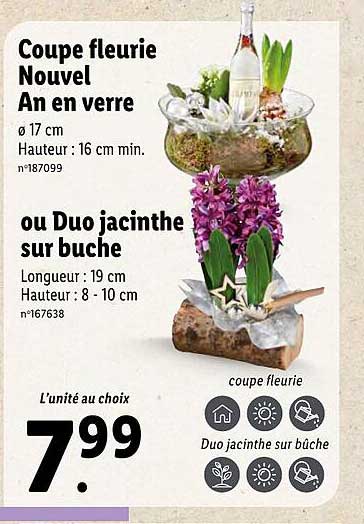 coupe fleurie nouvel an en verre ou duo jacinthe sur buche