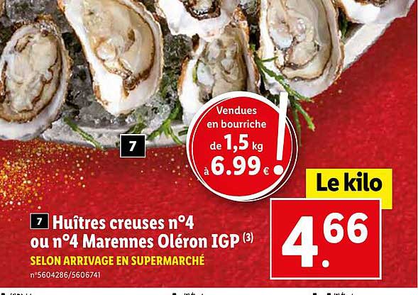 huîtres creusés n°4 ou n°4 marennes oléron igp