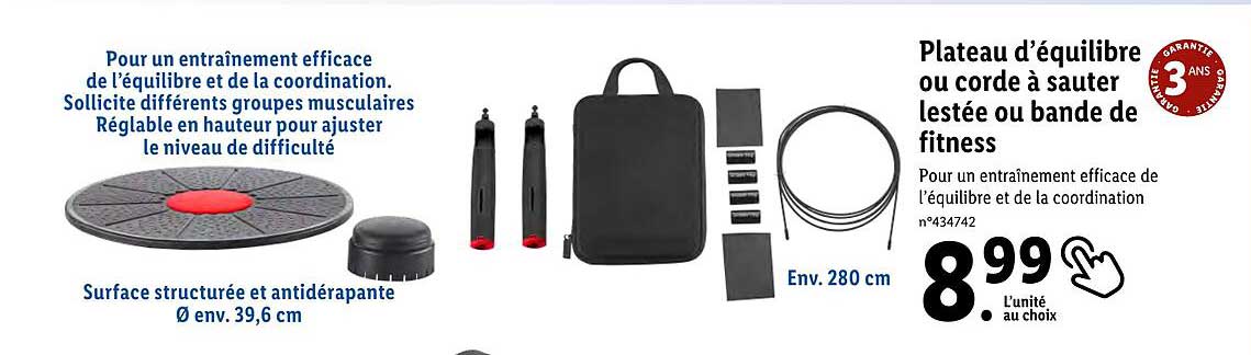 plateau d'equilibre ou corde a sauter lestee ou bande de fitness