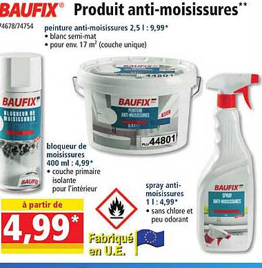 produit anti-moisissures baufix