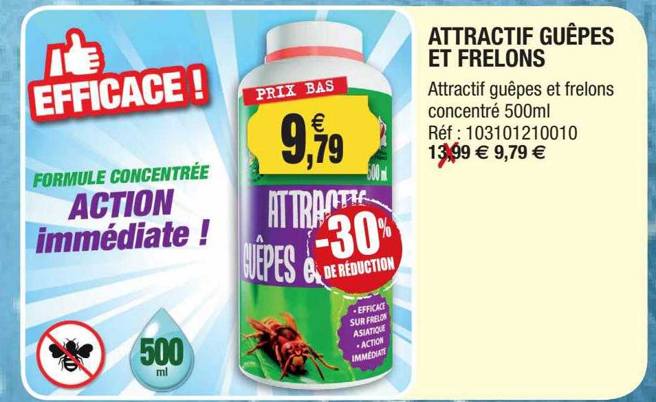 attractif guêpes et frelons