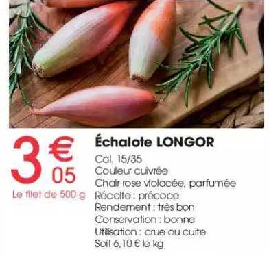 échalote longor