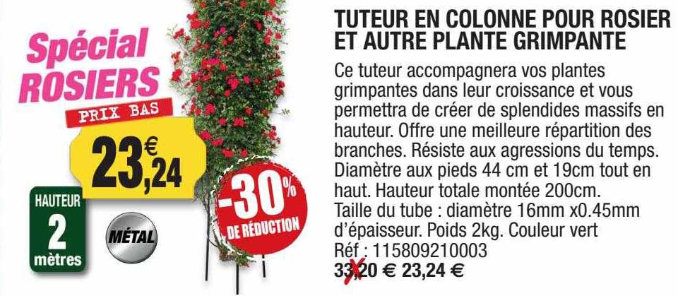 tuteur en colonne pour rosier et autre plante grimpante