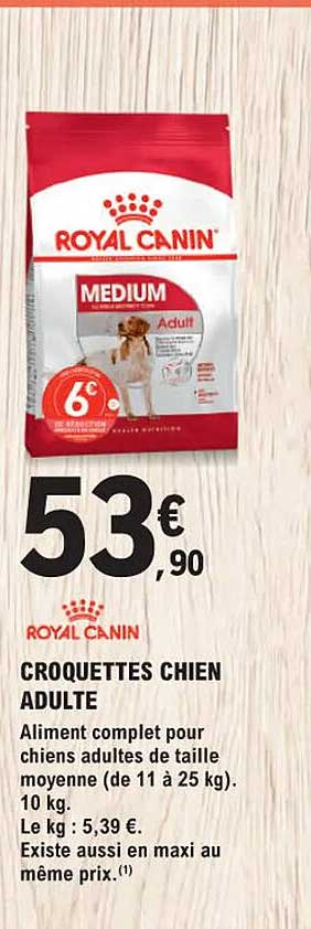 croquettes chien adulte royal canin