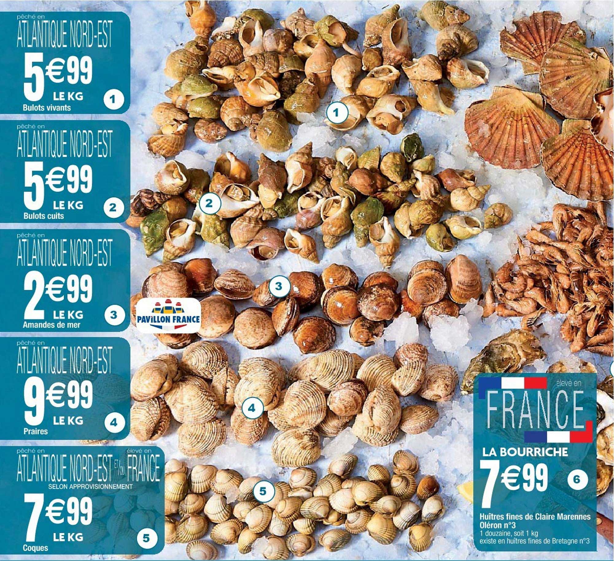 bulots vivants, bulots cuits, amandes de mer, coques, huîtres fines de claire marennes oléron n°3