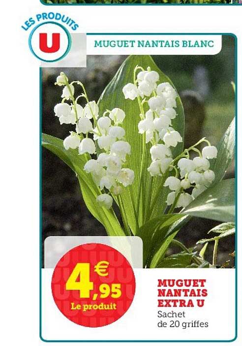 muguet nantais extra u
