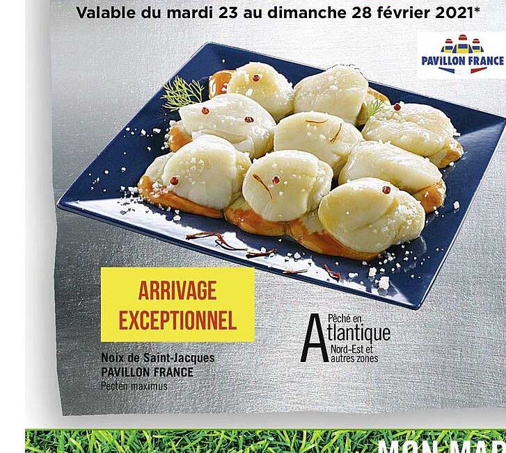 noix de saint-jacques pavillon france