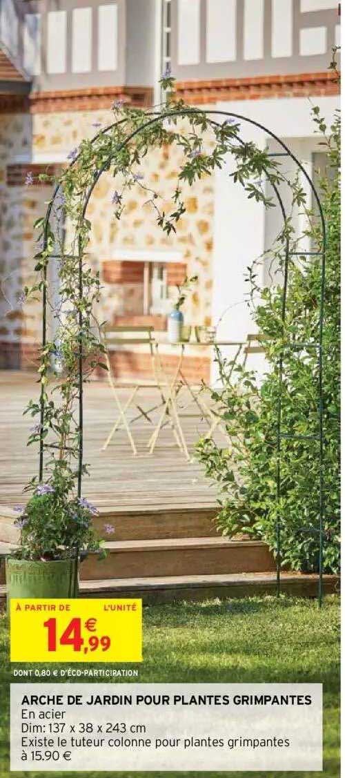 arche de jardin pour plantes grimpantes