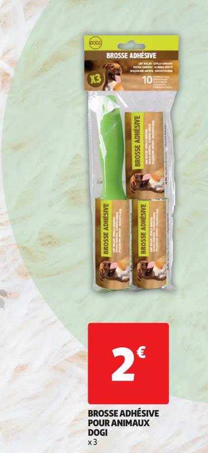 brosse adhésive pour animaux dogi