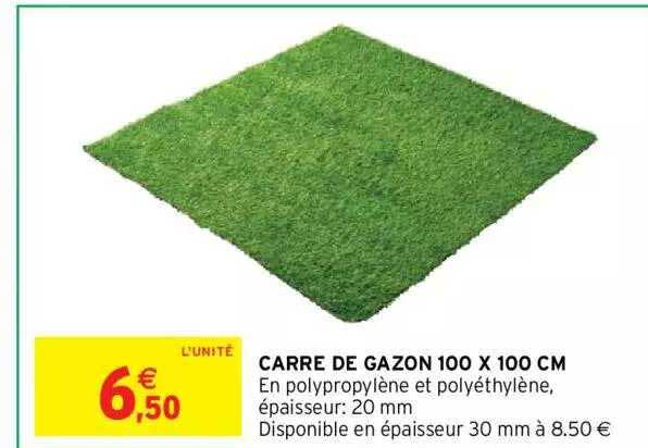 Carré De Gazon 100 X 100 Cm