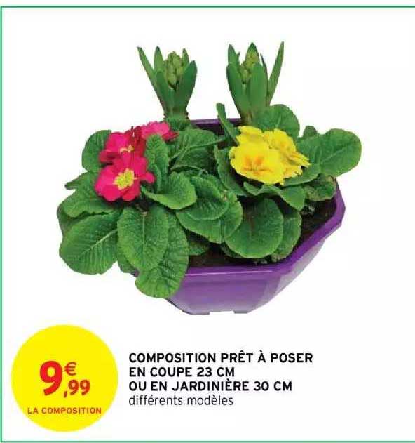 Composition Prêt à Poser En Coupe 23 Cm Ou En Jardinière 30 Cm