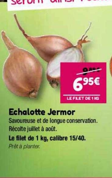 échalotte jermor