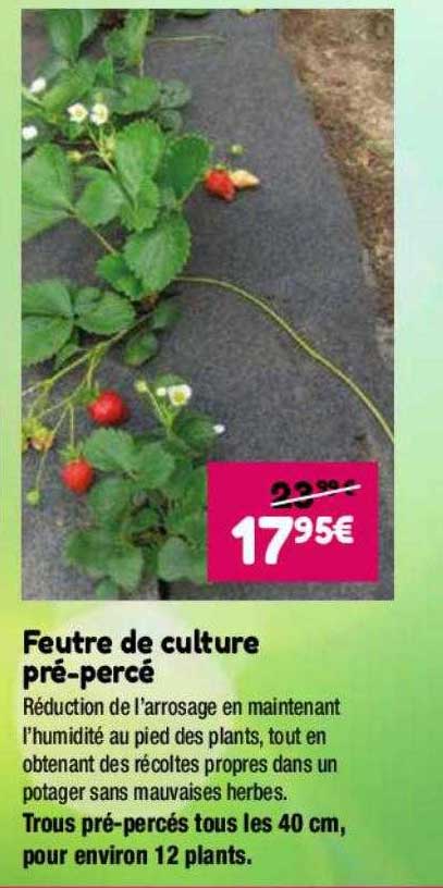 Feutre De Culture Pré-percé