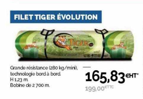 filet tiger évolution