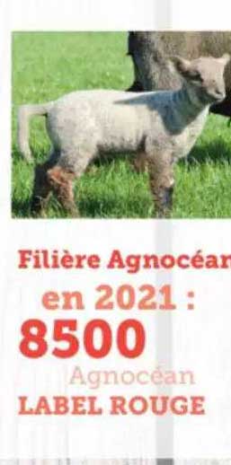 filière agnocéan label rouge