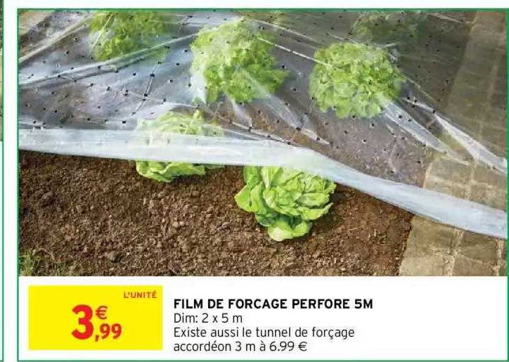 Film De Forcage Perforé 5m