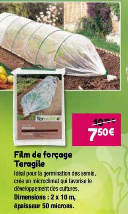 film de forçage teragile