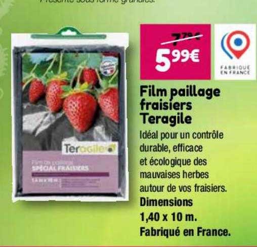 film paillage fraisiers teragile
