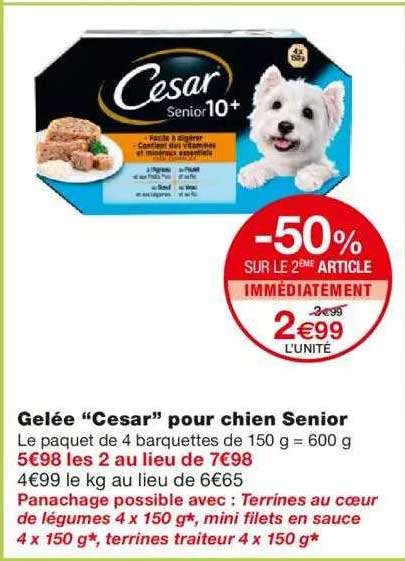 gelée "cesar" pour chien senior