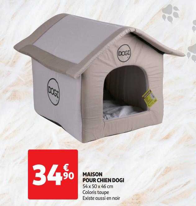 maison pour chien dogi