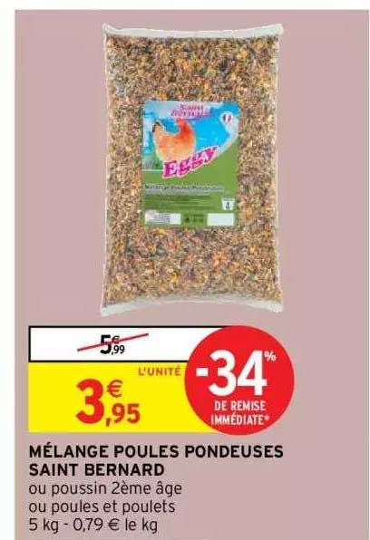 mélange poules pondeuses saint bernard