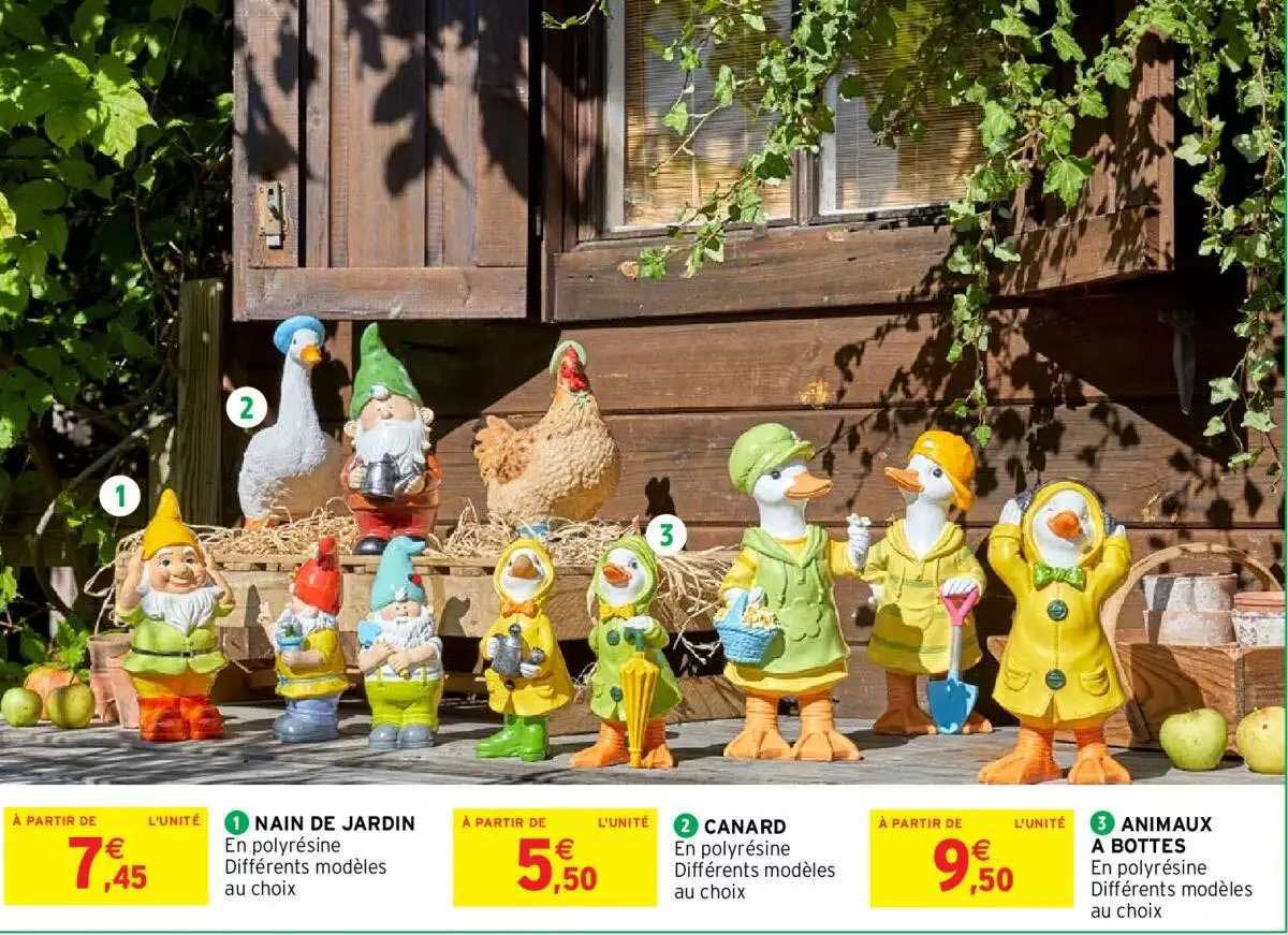 Nain De Jardin, Canard, Animaux à Bottes