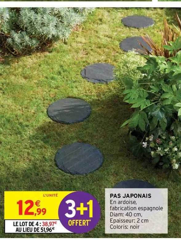 pas japonais