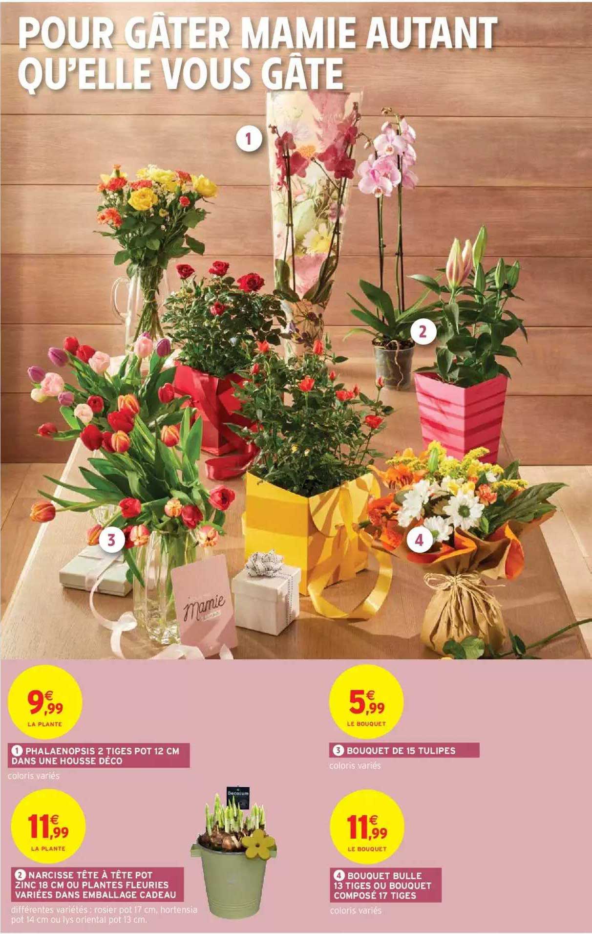phalaenopsis 2 tiges pot 12 cm dans une housse déco, bouquet de 15 tulipes, narcisse tête à tête pot zinc 18 cm ou plantes fleuries variées dans emballage cadeau, bouquet bulle 13 tiges