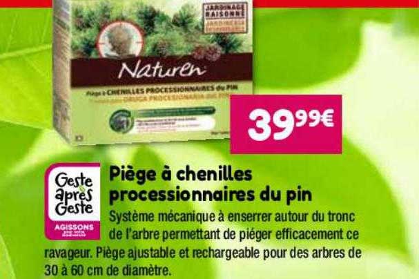 piège à chenilles processionnaires du pin