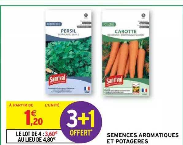 semences aromatiques et potagères