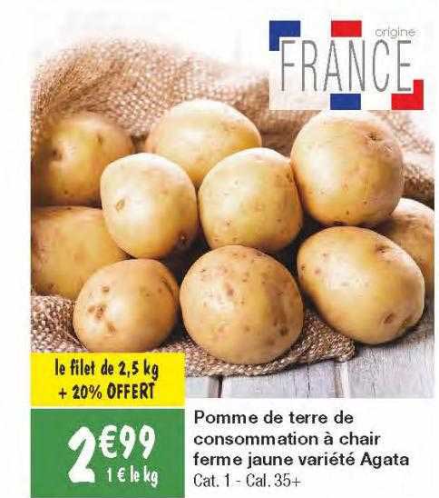 pomme de terre de consommation à chair ferme jaune variété agata