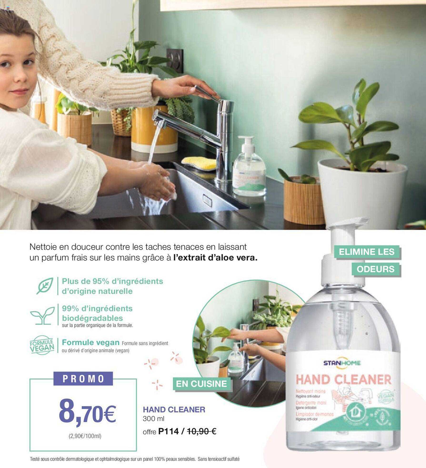 hand cleaner stanhome