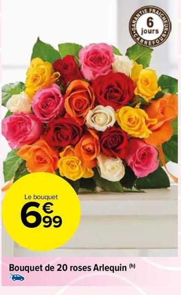 Bouquet De 20 Roses Arlequin