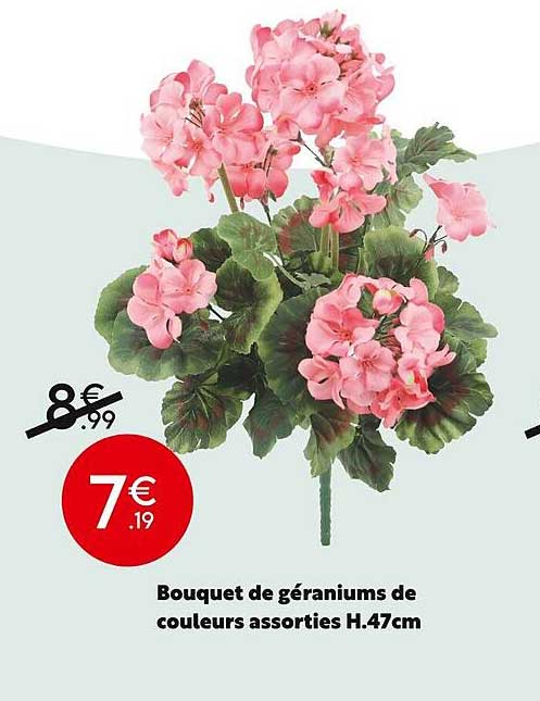 bouquet de géraniums de couleurs assorties h.47 cm