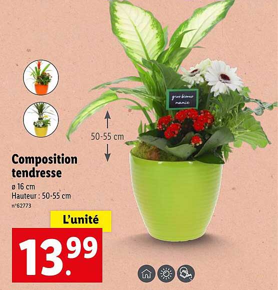 composition tendresse