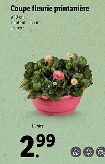 Coupe Fleurie Printanière