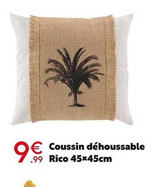 coussin déhoussable rico 45x45cm