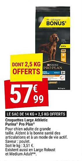 croquettes large athletic purina pro plan