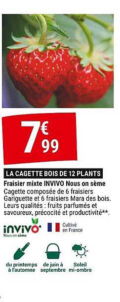 fraisier mixte invivo nous on sème