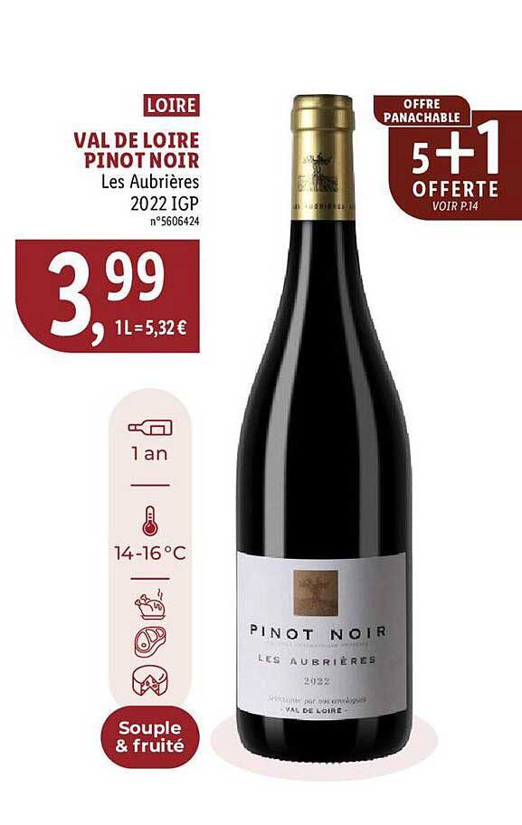 loire val de loir pinot noir les aubrières 2022