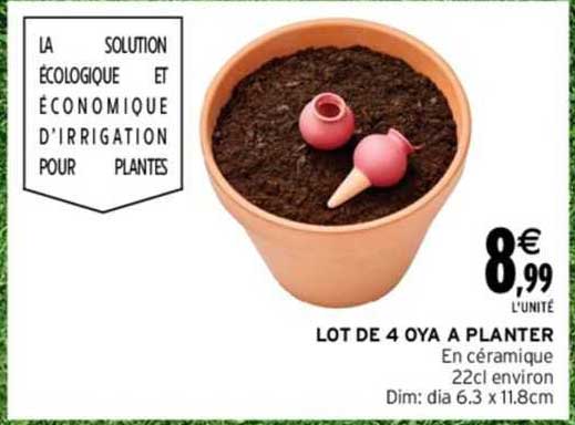 lot de 4 oya à planter