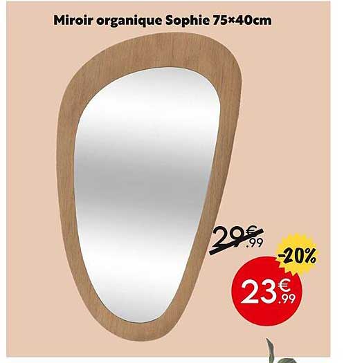 miroir organique sophie 75x40cm