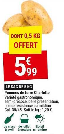 pommes de terre charlotte