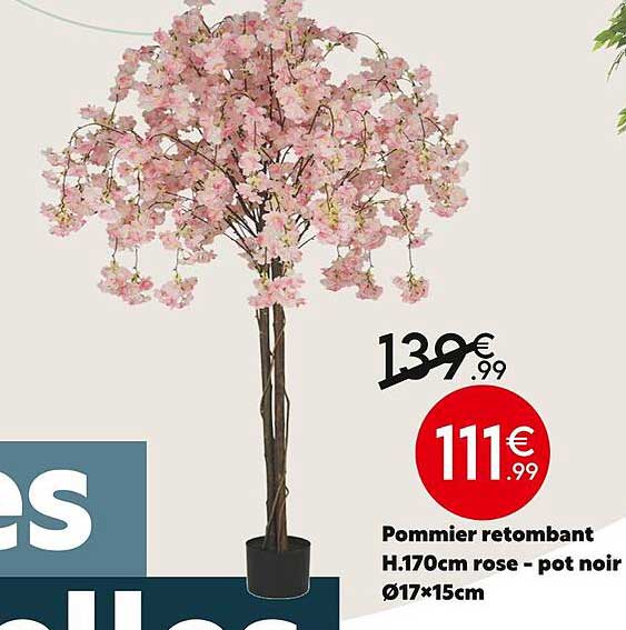 pommier retombant h.170 cm rose - pot noir ø17 x 15 cm