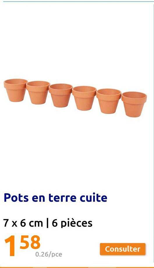 pots en terre cuite