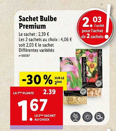 sachet bulbe premium